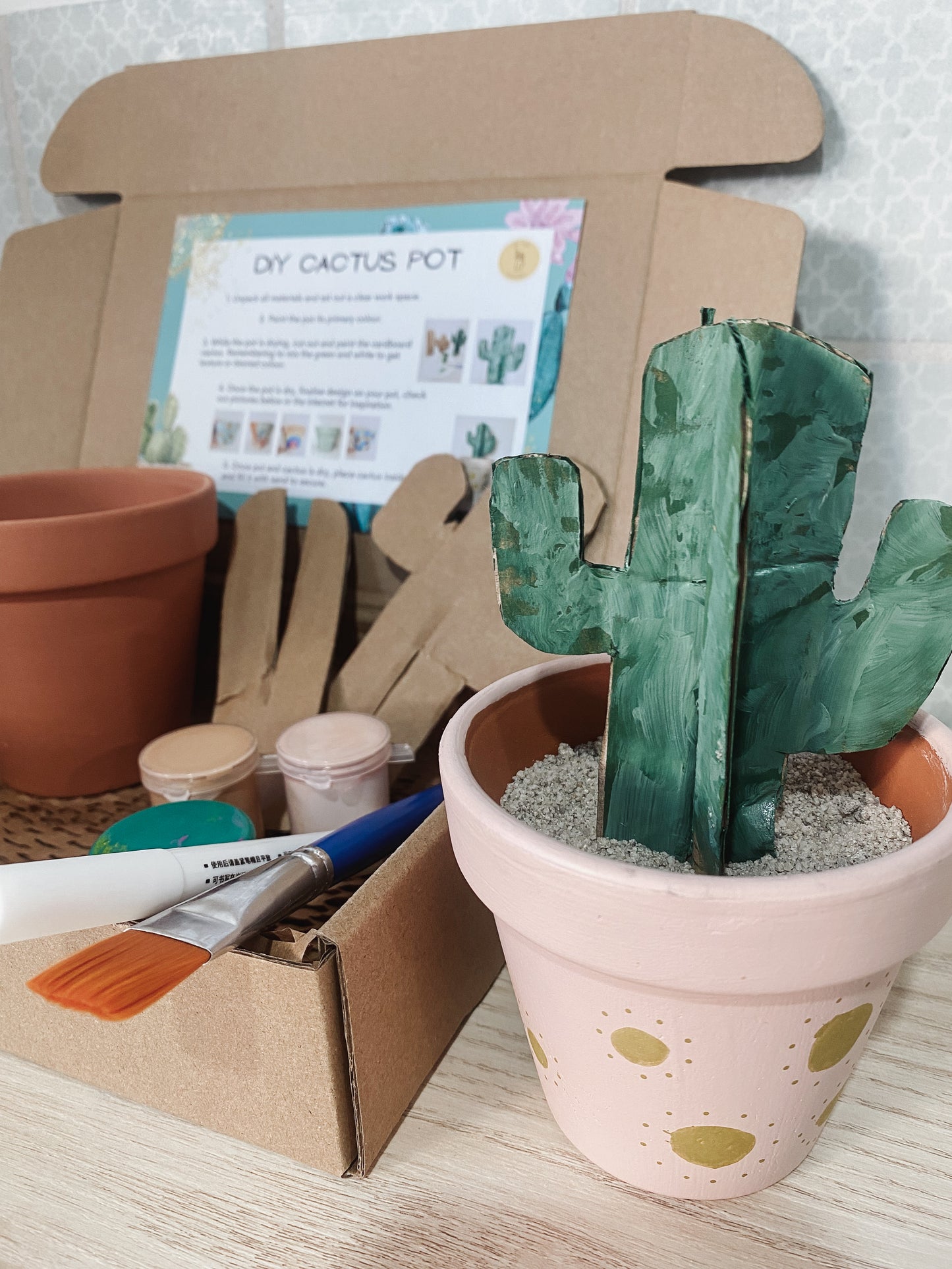 DIY Cactus Pot Kit